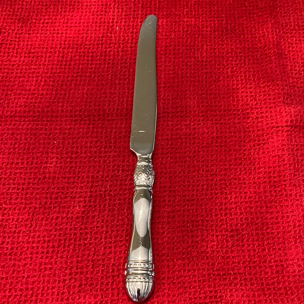 EUC Southern Living Gallery Stainless Steel Dinner Knife
